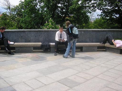 3753650.jpg